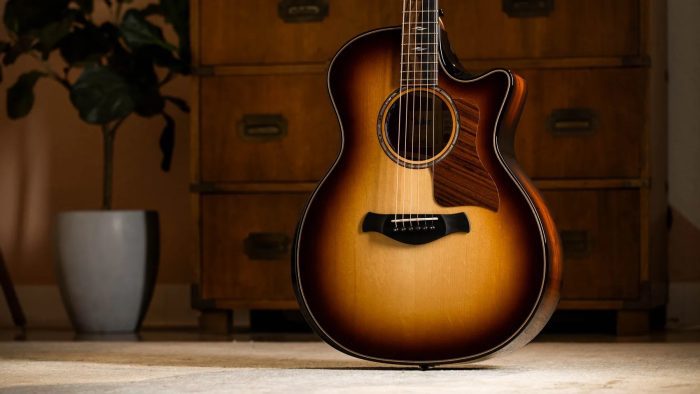 Taylor Builder's Edition 814ce Honduran / Adirondack, Next Generation
