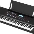 Roland E-X50