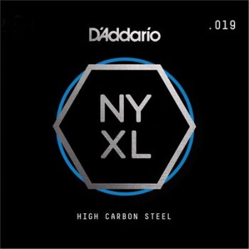 Daddario NYS019