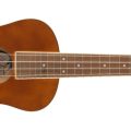 Fender Avalon Tenor Ukulele, Walnut Fingerboard, Natural