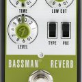 Fender Bassman Reverb