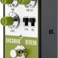 Fender Bassman Reverb