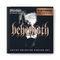 Dunlop BEHN1162-7 BEHEMOTH EG-NKL 11/62 - 7/SET