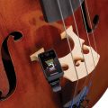 Daddario PW-CT-17CBK