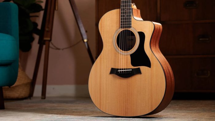 Taylor 114ce