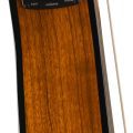 Fender CN-140SCE Nylon Thinline, Walnut Fingerboard, Natural w/Case