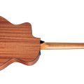 Taylor 114ce