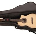 Altamira Fz2 M/Case