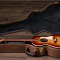 Taylor Ben Harper Gold Label 512e