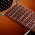 Taylor Ben Harper Gold Label 512e
