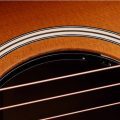 Taylor Ben Harper Gold Label 512e
