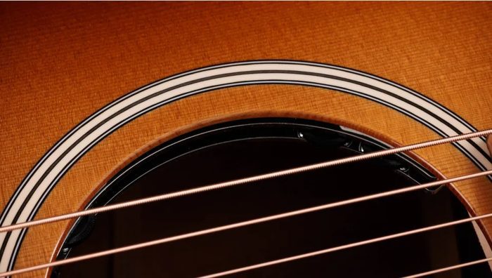 Taylor Ben Harper Gold Label 512e