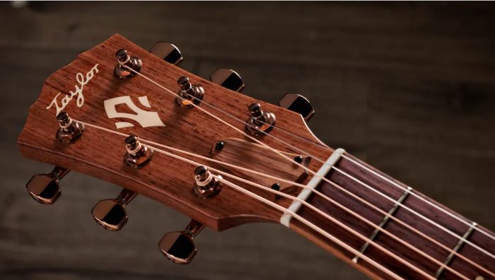 Taylor Ben Harper Gold Label 512e