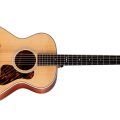 Taylor Gold Label 512e