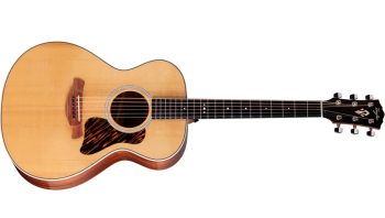 Taylor Gold Label 512e