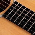 Taylor Gold Label 512e