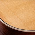 Taylor Gold Label 512e