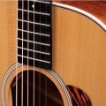 Taylor Gold Label 512e