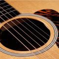Taylor Gold Label 512e
