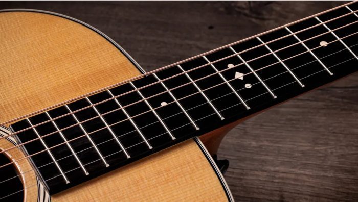 Taylor Gold Label 512e