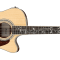 Ibanez AC390CE-NT