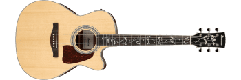 Ibanez AC390CE-NT