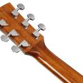 Ibanez AC390CE-NT