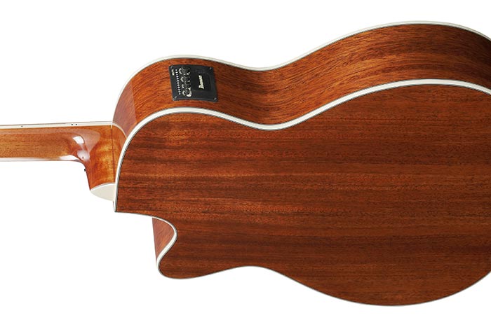 Ibanez AC390CE-NT