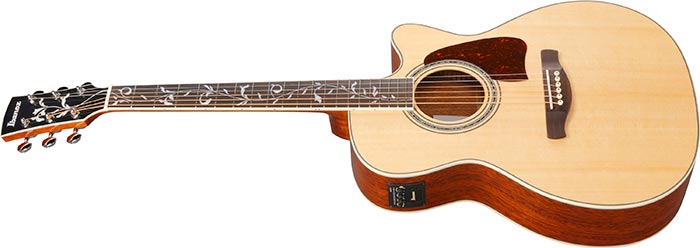 Ibanez AC390CE-NT
