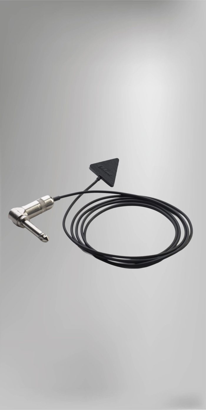 Ehrlund EAP System is a kit with EAP PickUp ad EAP PreAmp