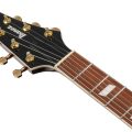 Ibanez IC420-CGM Iceman Limited