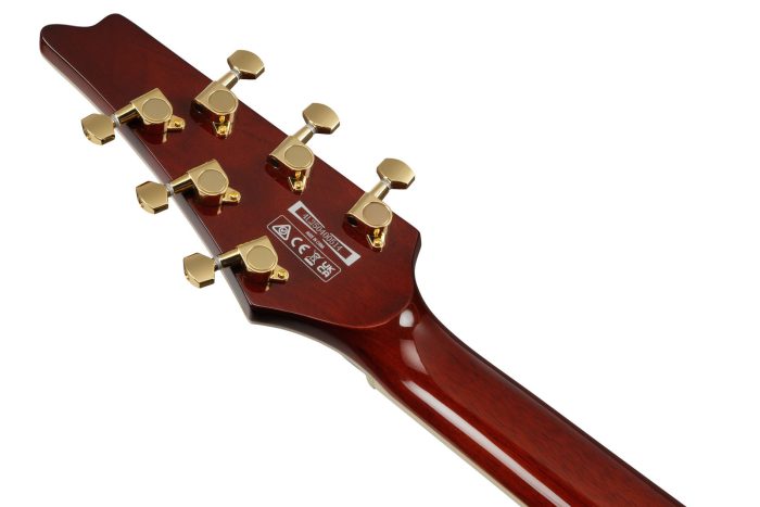 Ibanez IC420-CGM Iceman Limited