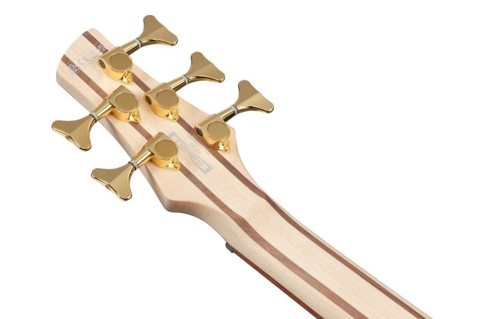 Ibanez SR305EDX-FDM