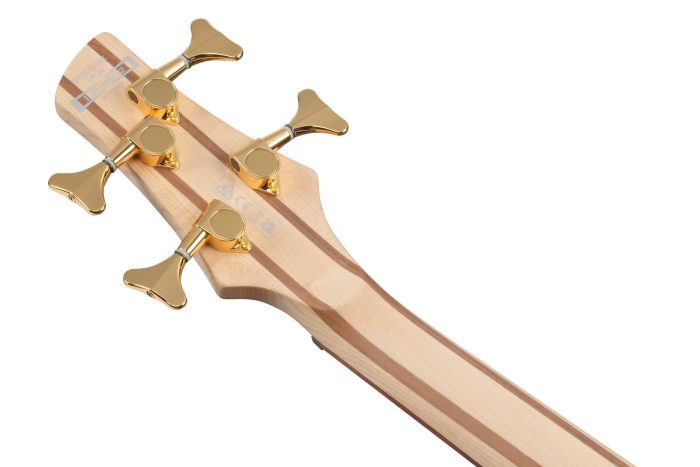 Ibanez SR300EDX-FBM