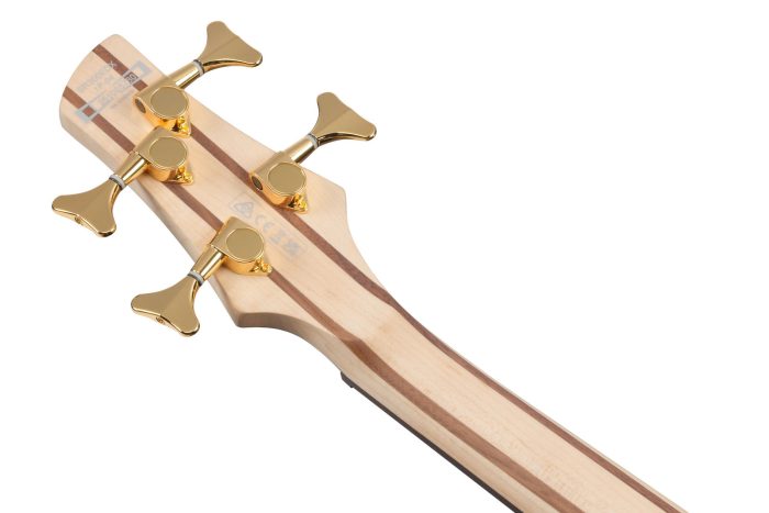Ibanez SR300EDX-FDM