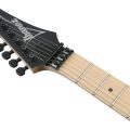Ibanez RG550-BKF RG Genesis Spot, Black Flat