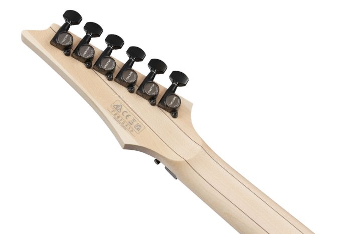 Ibanez RG550-BKF RG Genesis Spot, Black Flat