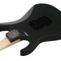 Ibanez RG550-BKF RG Genesis Spot, Black Flat