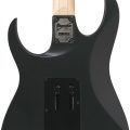 Ibanez RG550-BKF RG Genesis Spot, Black Flat