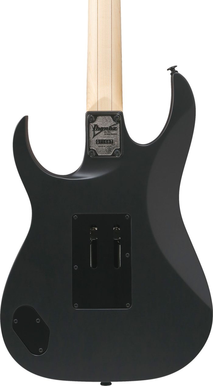 Ibanez RG550-BKF RG Genesis Spot, Black Flat