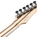 Ibanez RGR5111RB-WK med hardcase, Prestige Spot