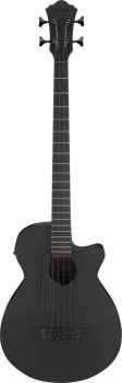 Ibanez AEGB420-BOT med mik