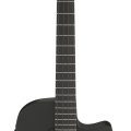 Ibanez AEGB420-BOT med mik