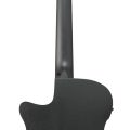 Ibanez AEGB420-BOT med mik