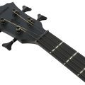 Ibanez AEGB420-BOT med mik