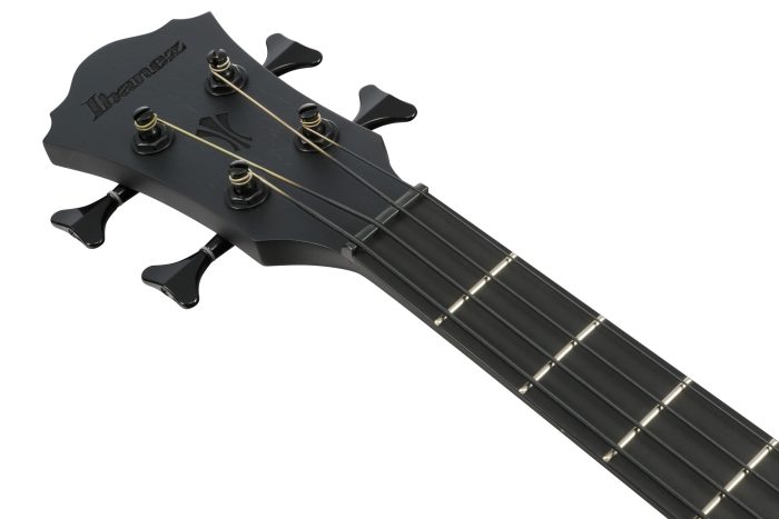 Ibanez AEGB420-BOT med mik