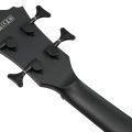 Ibanez AEGB420-BOT med mik