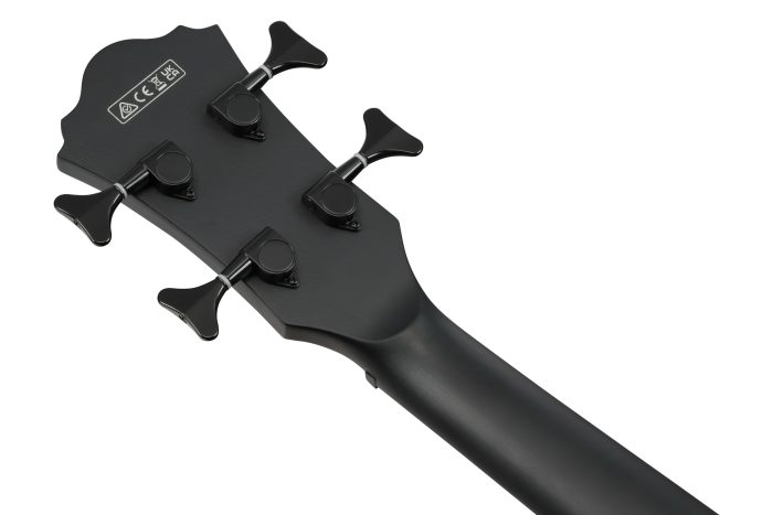 Ibanez AEGB420-BOT med mik