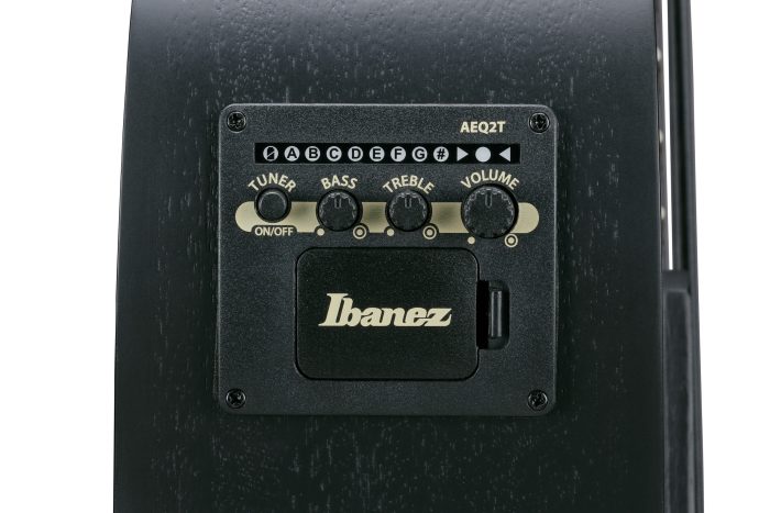 Ibanez AEGB420-BOT med mik