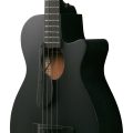 Ibanez AEGB420-BOT med mik